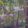 MCKINNEY PARK