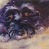 OUR ZOE