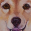 CHEYENNE