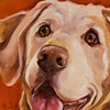 AMAZING GRACE