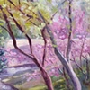 HACKBERRY CREEK