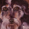 BRUTUS