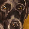 GUS
