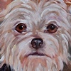 RIPLEY