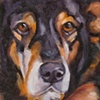 DUKE
