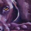 LOLA OF LOUISIANA