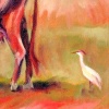 COWBIRD