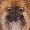 DUFFY