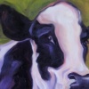 3 BLACK SPOTS