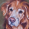 COOPER