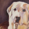 LABRADOR