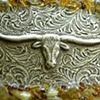 Austin Angel