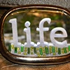 Life eyecandy