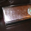 Metallic/Green Clutch