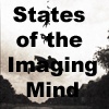 States of the Imagining Mind