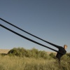 A Dream of Being Pursued