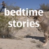 Bedtime Stories
