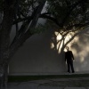 Shadow Play