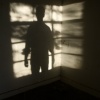 In the Shadows