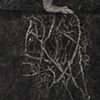 Rooted