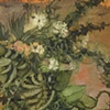 Gill's Garden