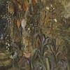 Hidden Well