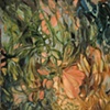 Vinespangle
