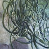 Alien Ornothoptics