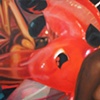 Red Dolphin Study