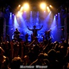 Michael Franti & Spearhead