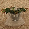 Portable Planter