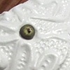 Prize Pumpkinseed fish (with reptile eyes)