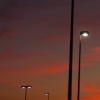ARCHITECTURE and LANDSCAPE
