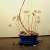 MATERIAL TRANSFORMATION