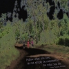 QUOTE PAGES