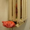 Apple Dispenser
