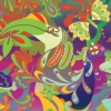 Jungle