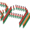 Marching Band
