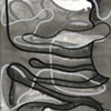 Boss Gut