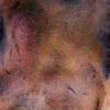 Temperament Theory