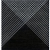 Prism Vision