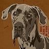Great Dane (Henry) On Salvaged Board.