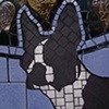 Boston Terrier Detail.