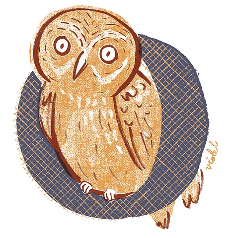 'O' is for Owl