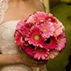 weddings