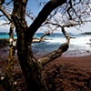 red sands beach, maui
