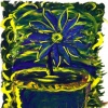 Frenchtown Flower