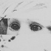Innocence