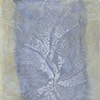 Shell Study II