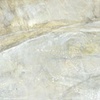Shell Study VI
